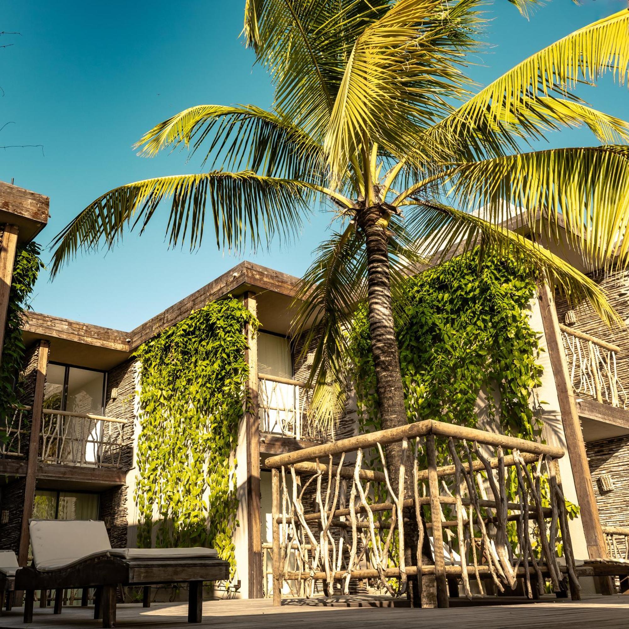 Apenunga Eco Hotel Jijoca de Jericoacoara Exteriör bild